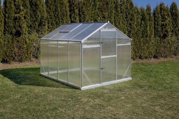 Kasvuvaihe Floria_1_DS_0020