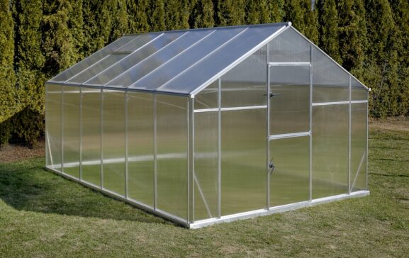 Kasvuvaihe Floria_5_xl-12