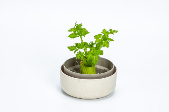 Regrow_1606711440C(2)