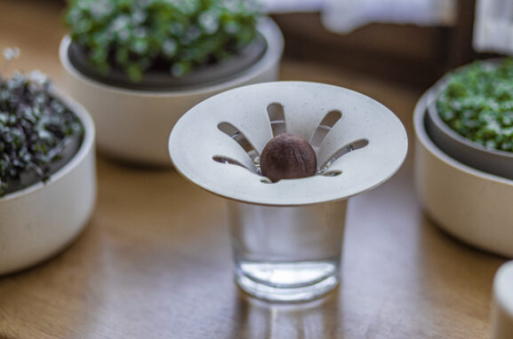 Mikrokasvit +Regrow_088A7420