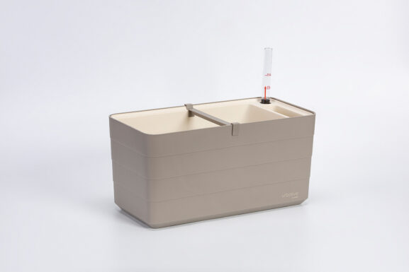 Thaimaalainen kontti Berberis 40_17