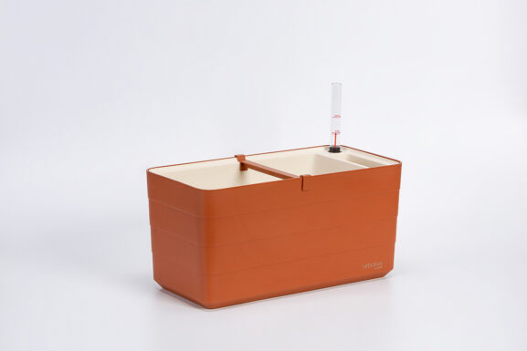 Thaimaalainen kontti Berberis 40_6