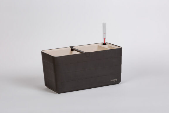 Thaimaalainen kontti Berberis 40_3