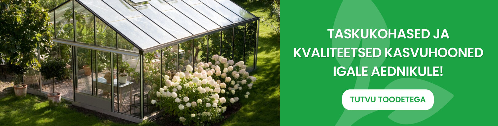 Rodoaed kodulehe bänner_kasvuhoone-Max-Quality
