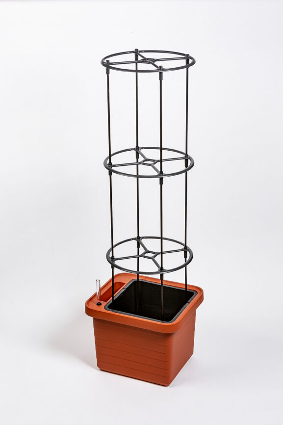 Kasvien tuki Berber-malleille_2