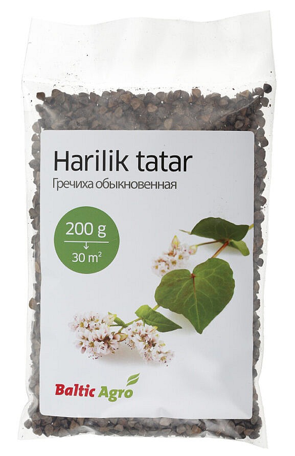Harilik Tatar seemned_200g