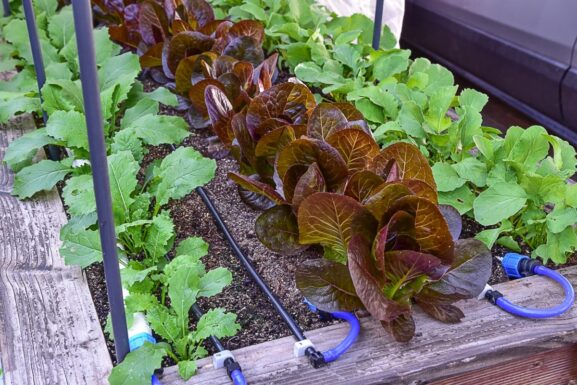 Imbvoolik BluSoak 2m set_3