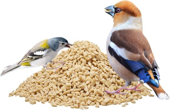 maapähkinärakeet_3