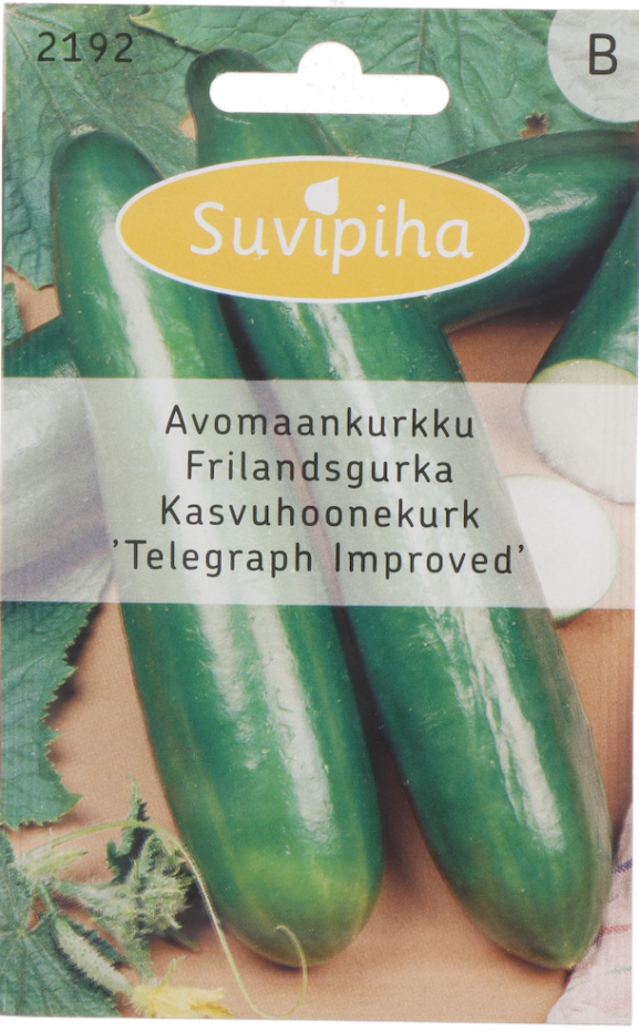 kurkun siemenet_871111117219200_1