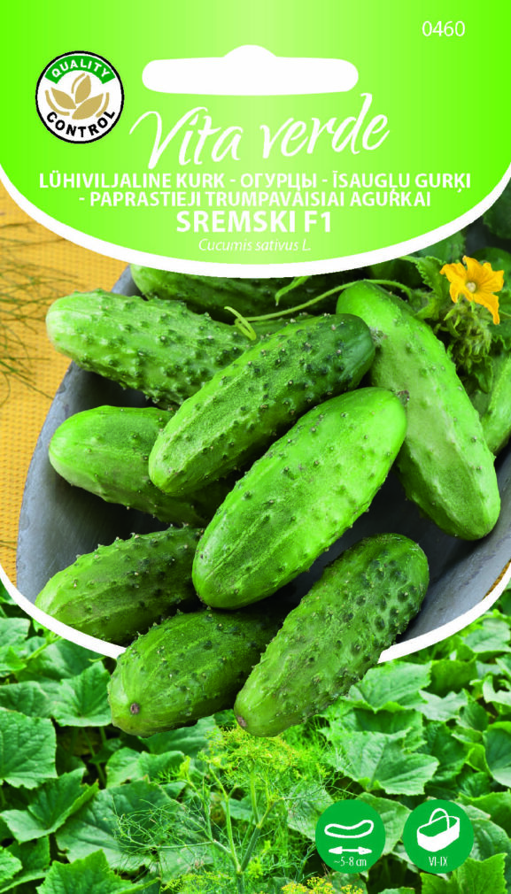 kurkun siemenet_4743153004605