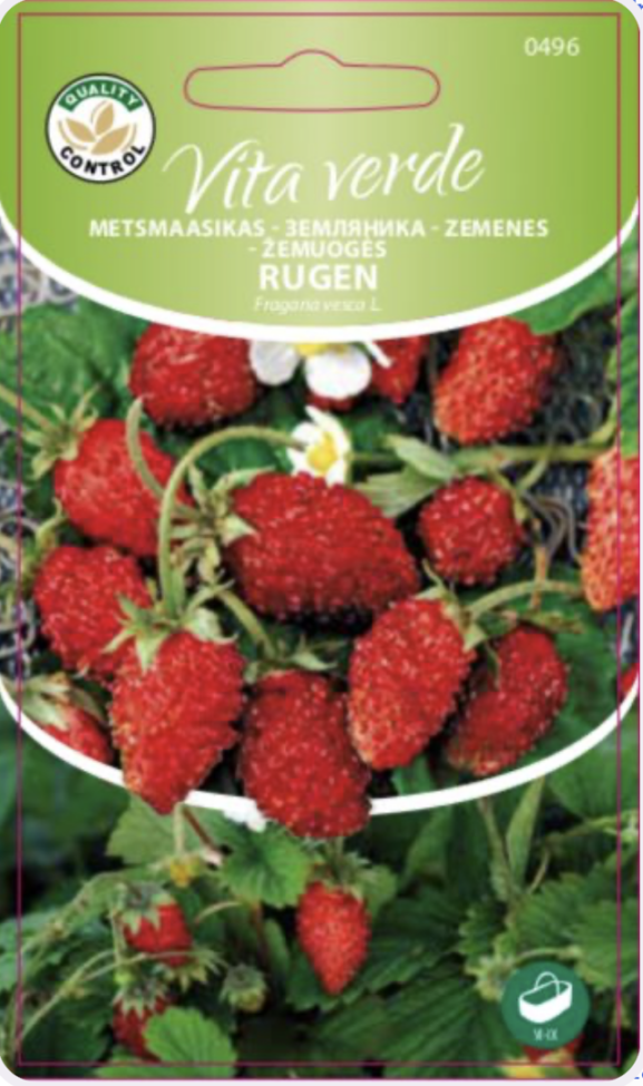 kuumaperseinen Rugen