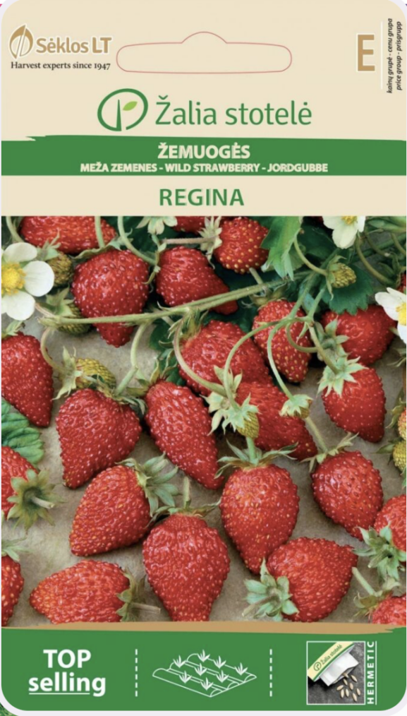 kuumaperseinen Regina