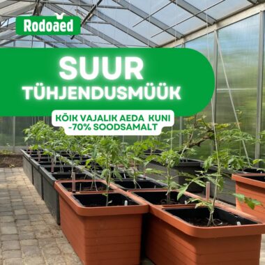 suur lao tühjendusmüük