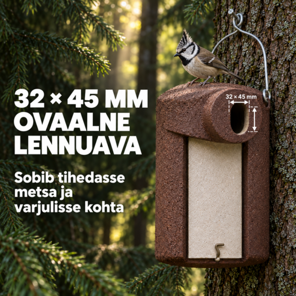 04-3sv-ovaalne-lennuava-tutt-tihane